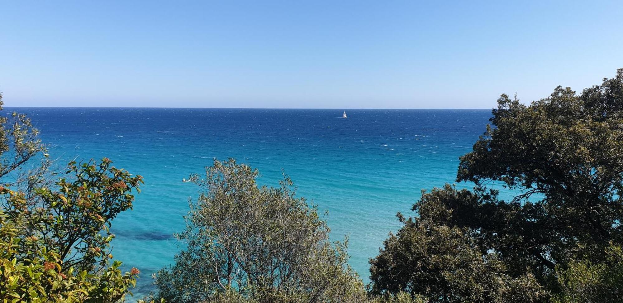 Auberge De Cannedda Sari-Solenzara Esterno foto