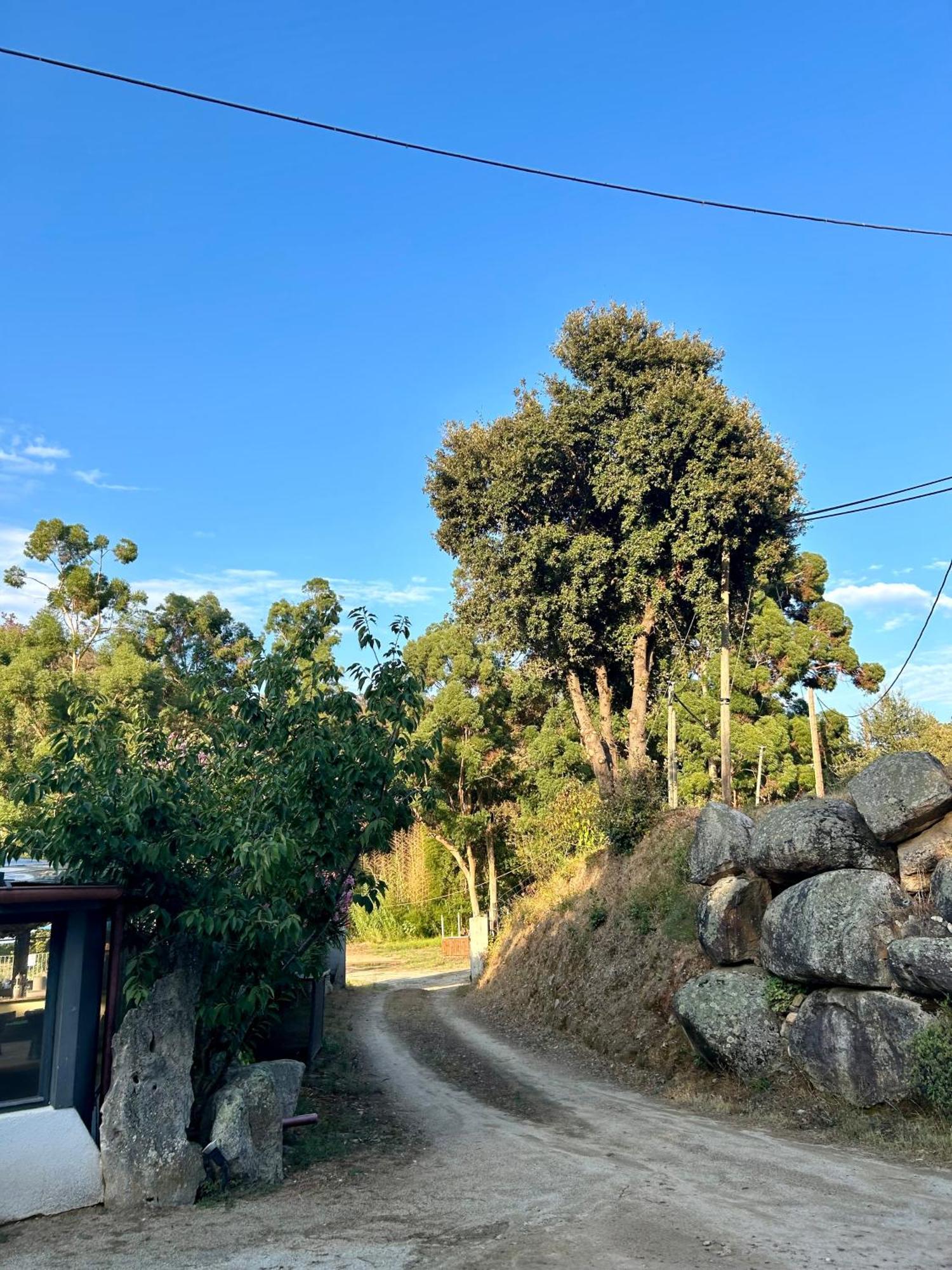 Auberge De Cannedda Sari-Solenzara Esterno foto